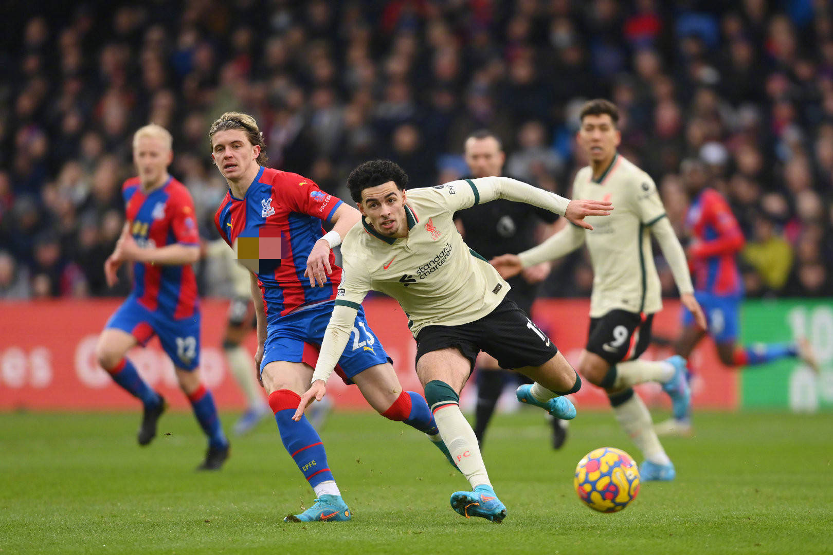 了他在球场 了他在球场